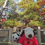 兼六園 三芳庵 - そしてボキらは兼六園にとうちゃ～く！！