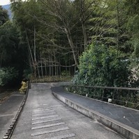 エルルカン・ビス - 