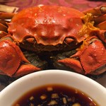 吴江食府中餐厅 - 上海蟹