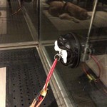 レイクサイドダイニング　ラ・ピーナ - ガラスにペタッと　これは便利そうなリードフックですよ