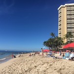 Surf Lanai - 青いねえ