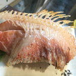 よねさん - 馬頭鯛