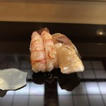 Sushi Hourai - エビ