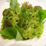 カセント - ３．サラダ