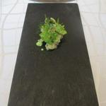 クイントカント - 鰆の低温調理　ちりめんキャベツとスペルト小麦のストゥファート
      