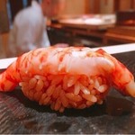 鮨 とかみ - 2016.11.  車海老