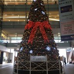DOUTOR COFFEE SHOP - 相模大野駅のクリスマスツリー