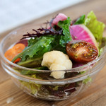 Barca. - 旬の地場野菜サラダ