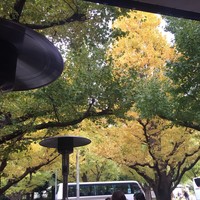 キハチ 青山本店 - 