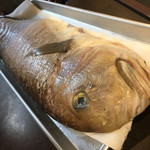 う越貞 - 2016年12月　八幡浜の白甘鯛 3k500g