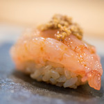 鮨 猪股 - 甘蝦（あまえび）