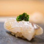 鮨 猪股 - 細魚（さより）