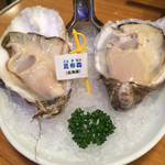 Oyster Bar ジャックポット - 