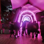 能登美 - （参考画像）光の回廊＠ラクーア近辺