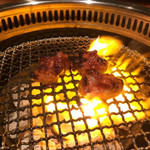 代官山 炭火焼肉 猿楽 - 