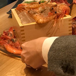 海鮮酒蔵 二三一 - 