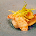 智映 - ボタンエビ