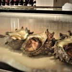 寿司屋のくま川 - ショーケースの中身