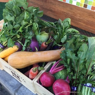 季節の味と色‼️[鎌倉野菜]‼️美味しい野菜も主役です