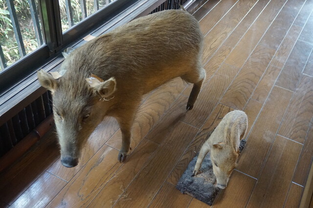 山里で頂く猪鍋の味 By ハラミ串 いわや 篠山市その他 その他肉料理 食べログ