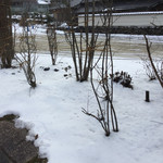 比良山荘 - 2016年12月中旬。