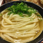 うどん 丸香 - かけうどん@420円