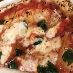 ピッツェリア ダ マッシモ - 【2016年12月】マルゲリータのアップ。