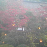うかい鳥山 - 
