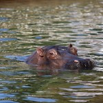 東山動植物園 - 