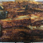 かぶと - 丸特弁当 鰻はみ出てます。