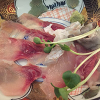 あそび割烹 さん葉か - 