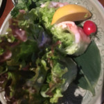 Forty-four Paralyze - 