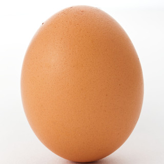 Super rich “Hinode Egg”