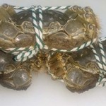 上海小吃 - 料理写真:調理前の上海蟹。イキがいいです