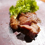 TACUBO - イノシシ