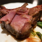 SIO syuji hijikuro - 鳩、NY子牛