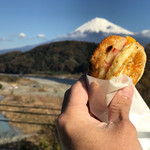 おこたま本舗 - おこたまと富士山 