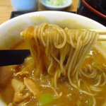 蕎麦 ひのや - 【2010.12.　再訪】　カレーつけ麺は蕎麦が合います＾＾！