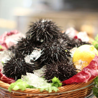 ボガマリ・クチーナ・マリナーラ_2