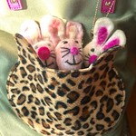 二代目蝦夷 - ネコの鞄にいたミミー軍団も応援してくれます【その他】 