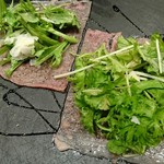 大衆ビストロ Galetto - 