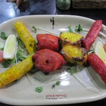 [ペアセット]フィッシュティカ、シークカバブ、レシミカバブ、チキンカバブ