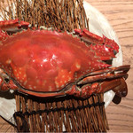 蟹御殿 - 茹で竹崎かに