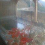 大岡温泉 - 長野聖山"大岡温泉"露天風呂