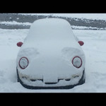 60200878 - これは大雪の時の写真^_−☆二年前