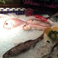ラ･スコリエーラ - 今日の鮮魚