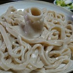 手打ち・つけ汁 うどん処 てる井 - 