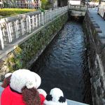 似故礼 - いやぁ、足軽資料館、すごくおもしろかったよ～♪ 
      
      これは足軽資料館の横を流れる大野庄用水。
      長町の武家屋敷の木材は、この用水を使って
      運ばれてきたものなんだって。