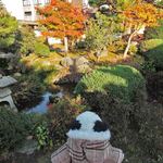 似故礼 - さすがは上級武士のおうちだね～庭園も見事です。
      江戸時代の代表的な庭園の造りだそうです。