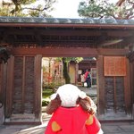 似故礼 - この辺は加賀藩の街並をそのまま残していて武士の屋敷跡がいくつか残ってるんだって。こちらは野村家跡。立派なお屋敷だね～入館料が有料だったので外からちらっと見るだけに。ちびつぬ「つぬっこちゃん、せこい」 